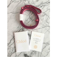 Chloé Drew Bijou aus Leder in Rosa / Pink