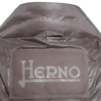 Herno gilet Down in taupe
