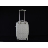 Alexander McQueen Travel bag in White