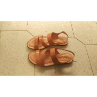 Tod's Sandals Patent leather in Brown