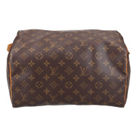 Louis Vuitton Borsetta in Marrone