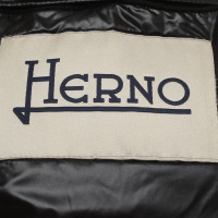 Herno Coat with quilted inserts