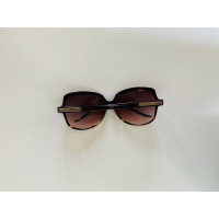 Just Cavalli Sunglasses in Brown