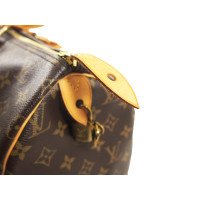 Louis Vuitton Speedy Canvas in Bruin