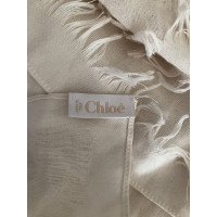 Chloé Schal/Tuch aus Wolle in Creme