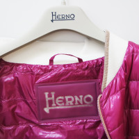 Herno Jacket/Coat in Fuchsia