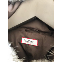 Max & Co Jacket/Coat in Khaki