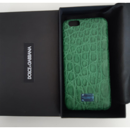 Dolce & Gabbana Accessoire aus Leder in Grün