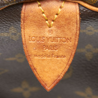 Louis Vuitton Speedy 25 aus Canvas in Braun