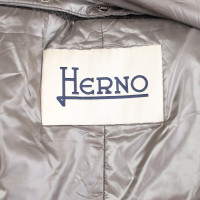Herno Jacket/Coat