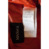 Max & Co Bovenkleding in Oranje
