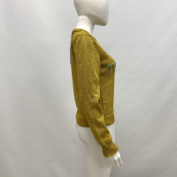 Alberta Ferretti Knitwear in Gold
