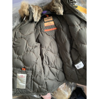 Parajumpers Jacke/Mantel aus Canvas in Oliv