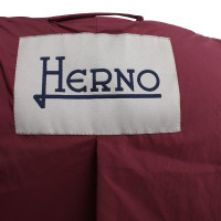 Herno Suede coat