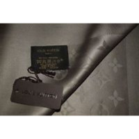 Louis Vuitton Scarf/Shawl Silk in Khaki