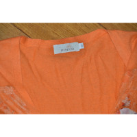 Pinko Knitwear Cotton in Orange