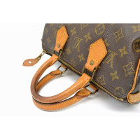 Louis Vuitton Speedy 25 Canvas in Bruin