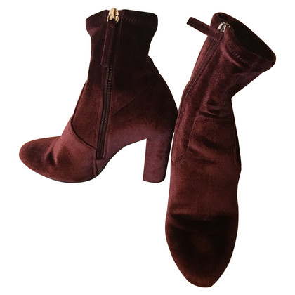 Steve Madden Ankle boots in Bordeaux