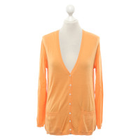 Malo Knitwear Cotton in Orange