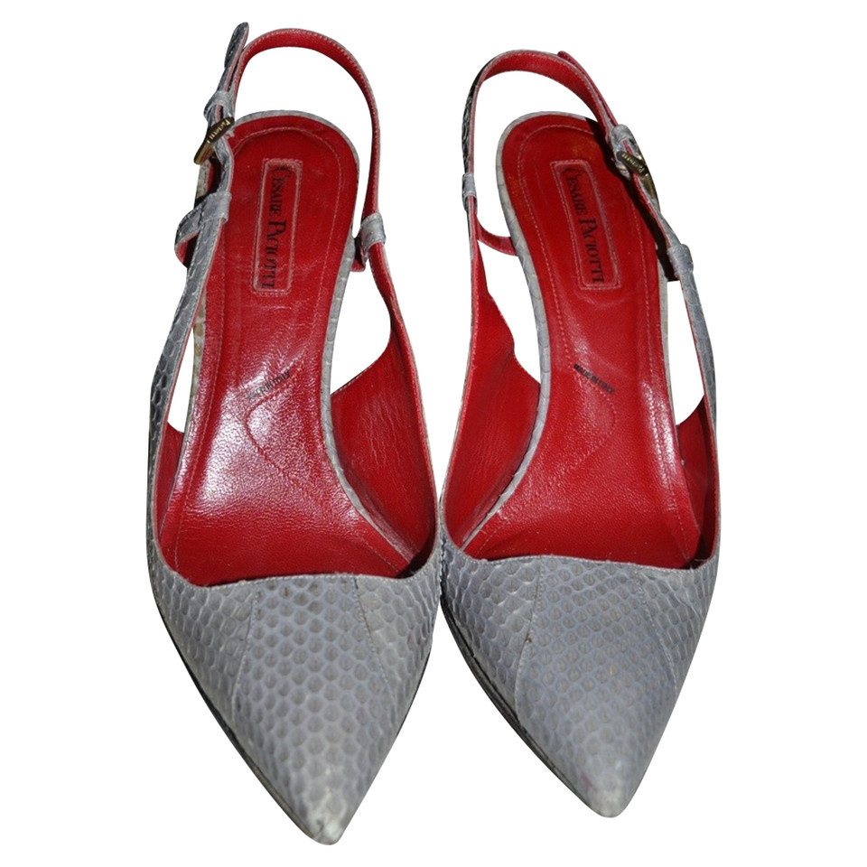 Cesare Paciotti Pumps/Peeptoes Leather in Grey