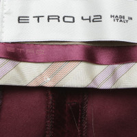 Etro Velvet pants in Bordeaux