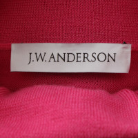 J.W. Anderson Maglioni in Rosso / Rosa