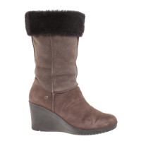 Ugg Australia Boots in taupe / brown