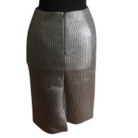 Tara Jarmon Skirt in Silvery