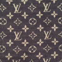 Louis Vuitton Blue shawl