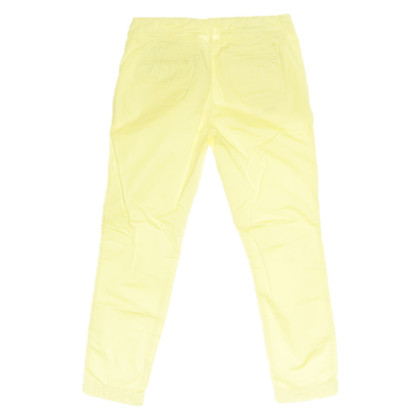 Closed Trousers Cotton in Yellow