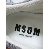 Msgm Sneaker in Grigio
