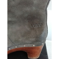 Ugg Australia Stiefeletten aus Leder in Grau