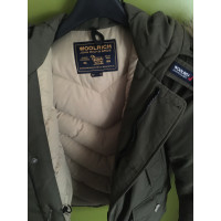 Woolrich Jacke/Mantel in Oliv