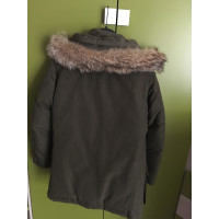 Woolrich Giacca/Cappotto in Verde oliva