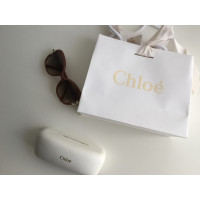 Chloé Lunettes de soleil en Marron