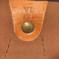 Louis Vuitton Speedy 35 in Bruin