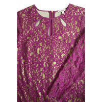 Juicy Couture Kleid aus Baumwolle in Rosa / Pink