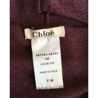 Chloé Knitwear Wool in Bordeaux