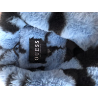 Guess Giacca/Cappotto in Blu
