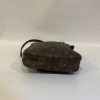 Louis Vuitton Danube Canvas in Bruin