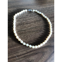 Tiffany & Co. Necklace Pearls in Cream