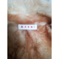Marni Jacket/Coat Fur
