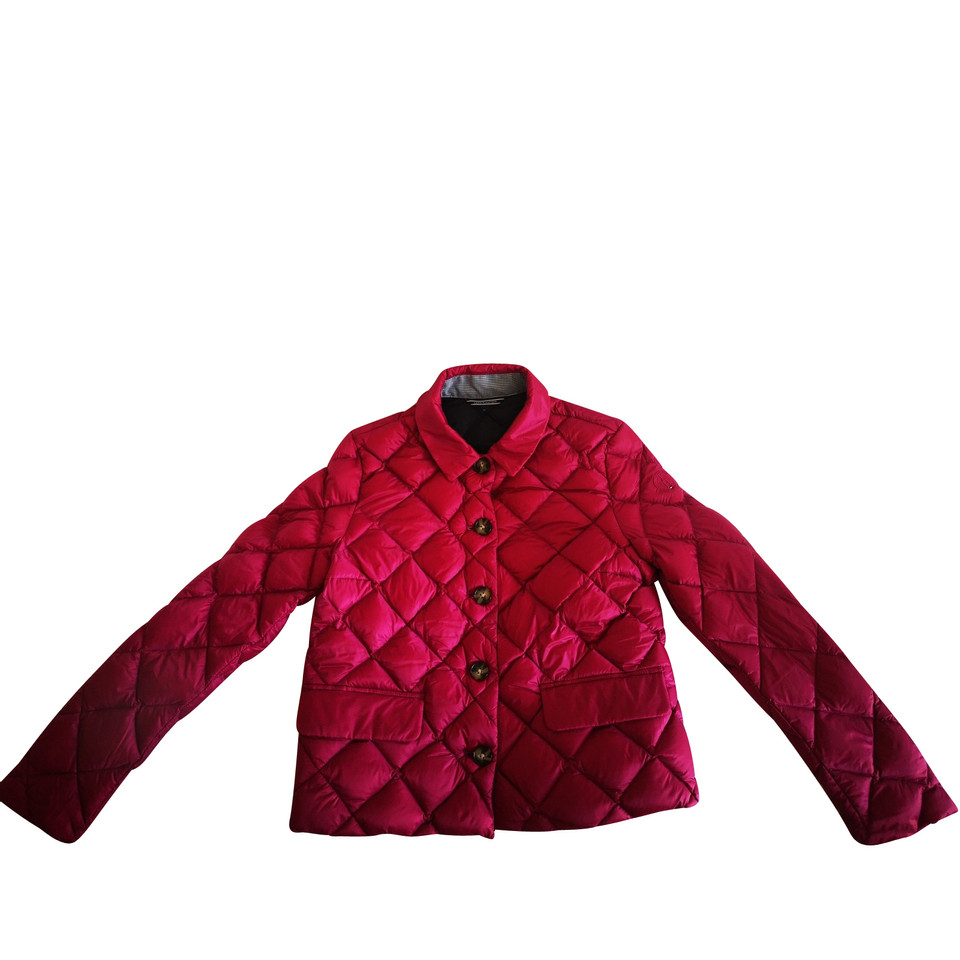 Tommy Hilfiger Jacket/Coat in Fuchsia
