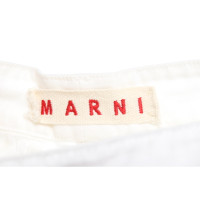 Marni Shorts Cotton in White