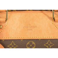 Louis Vuitton Evasion aus Canvas in Braun