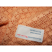 Odd Molly Knitwear Cotton in Orange