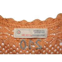 Odd Molly Knitwear Cotton in Orange