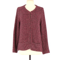 Maje Gilet in Cotone in Bordeaux