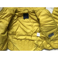 Moncler Jacke/Mantel in Gelb