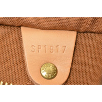 Louis Vuitton Speedy 25 Leather in Brown